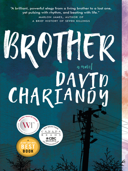 novel brother by david chariandy